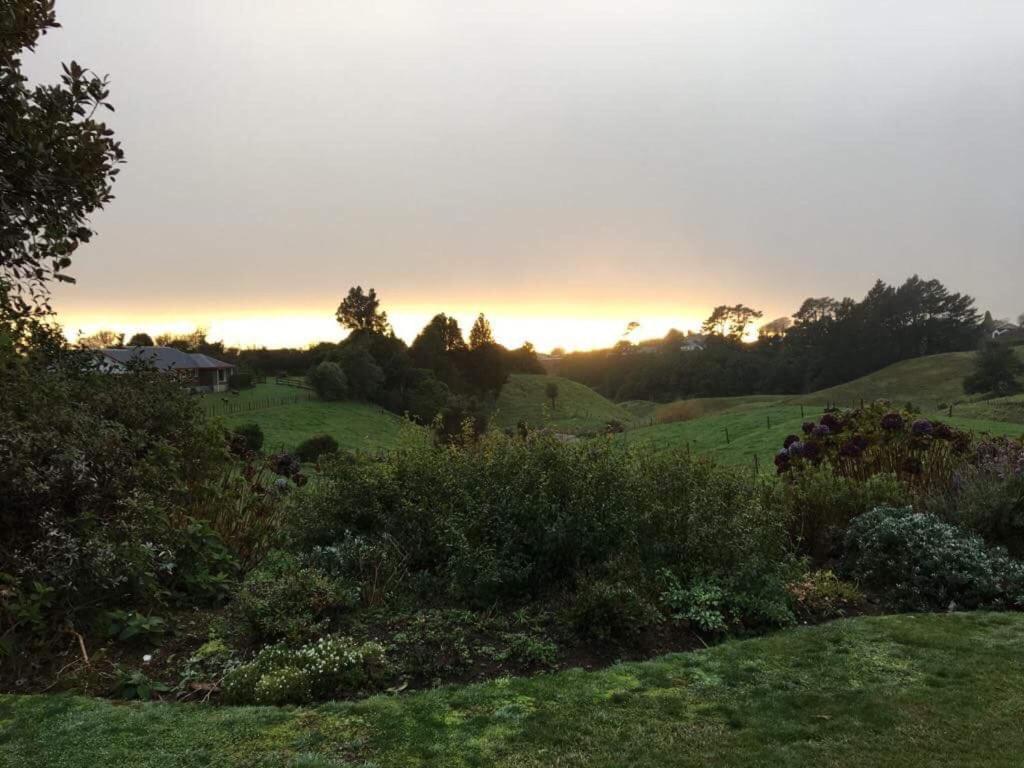 Pukeko Lodge Bnb 뉴플리머스 외부 사진