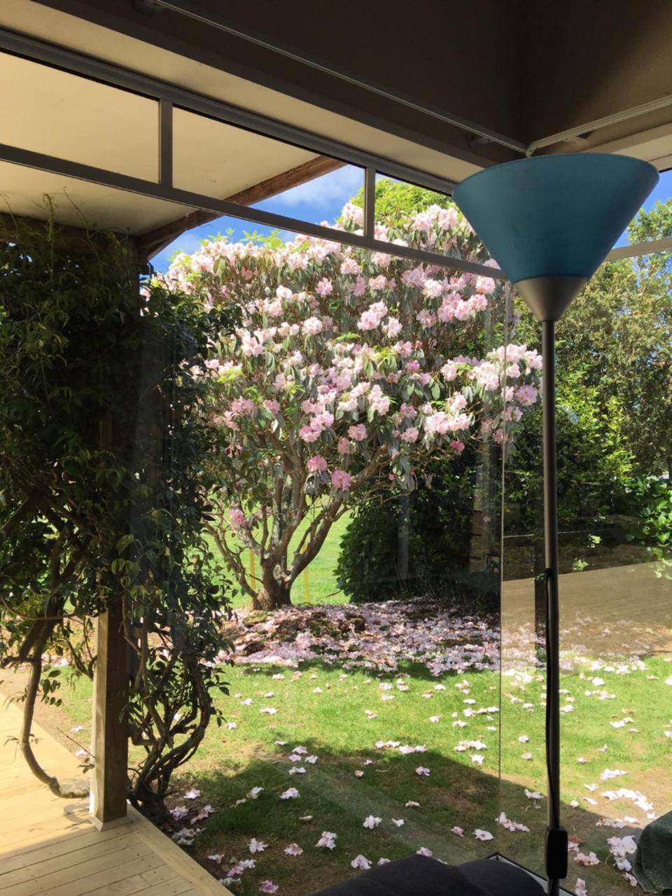Pukeko Lodge Bnb 뉴플리머스 외부 사진