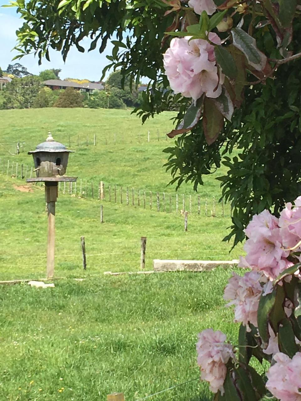 Pukeko Lodge Bnb 뉴플리머스 외부 사진